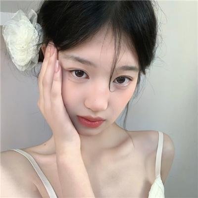 山茶花飘零